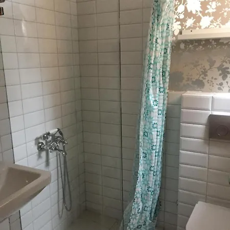 Zlatair Eco 度假居 Nova Varoš